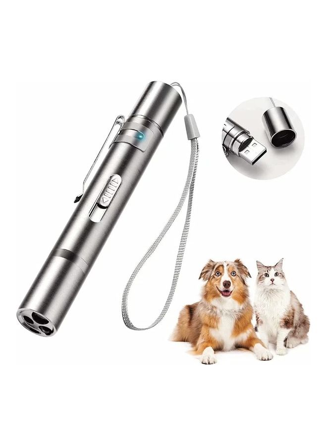LED Laser Light Pointer Silver - Image 1